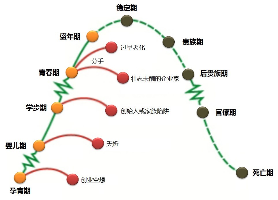 Corporate Lifecycle 企业生命周期