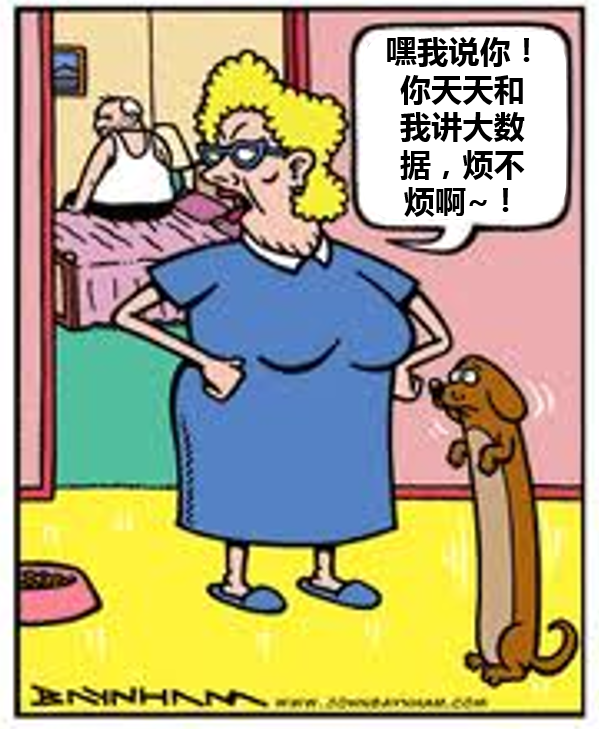 Hot: 好笑的数据