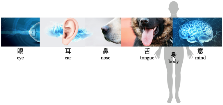 “十八界”鼎足互用，构成你的良好体验