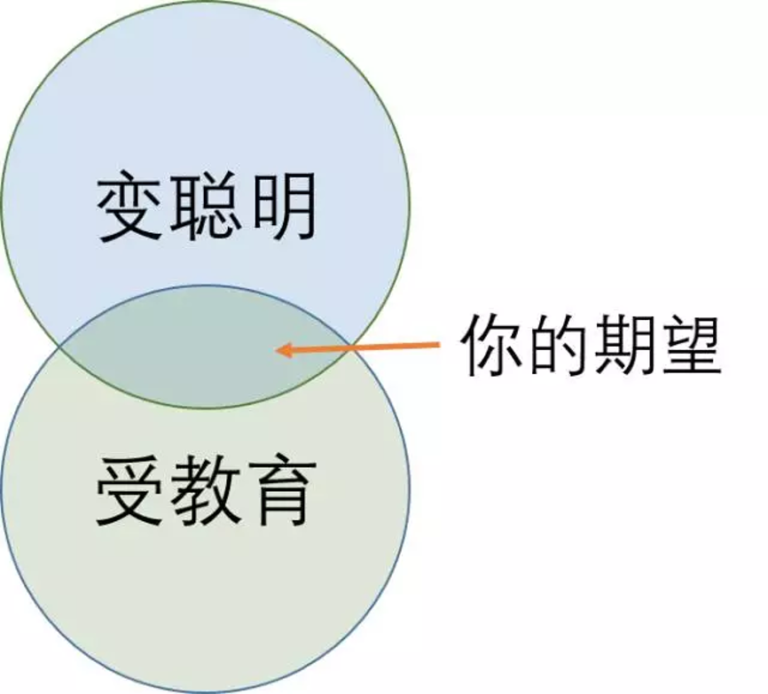 所谓鸡汤，你必须亲自品尝才知味道
