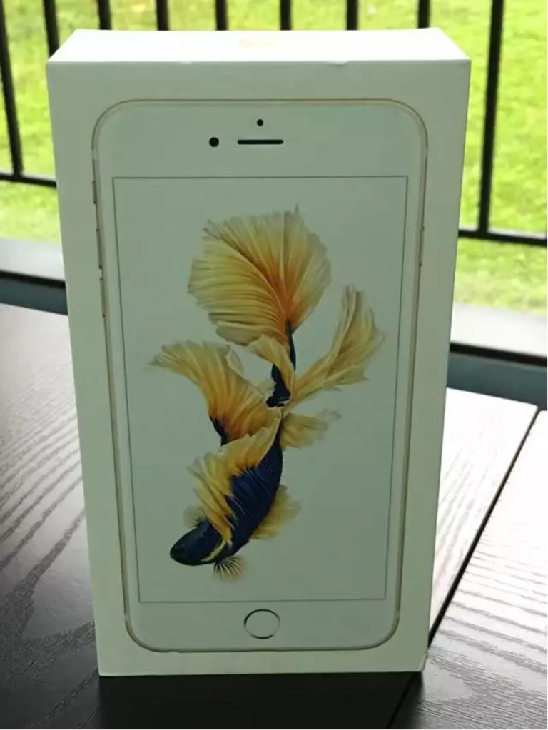 为什么我用回iPhone?