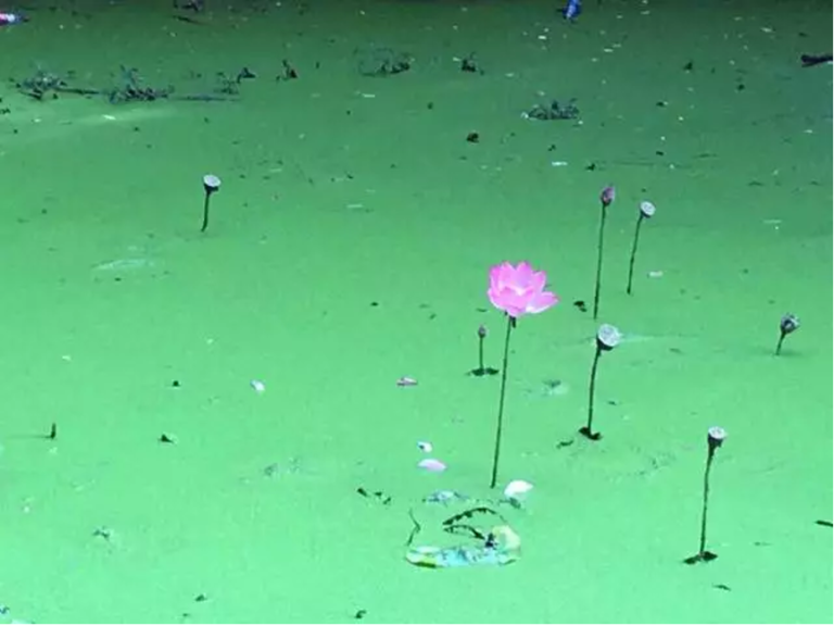 在江湖上行走，侠骨如刀还是柔情似水？
