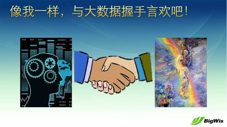 极致·理想·大数据
