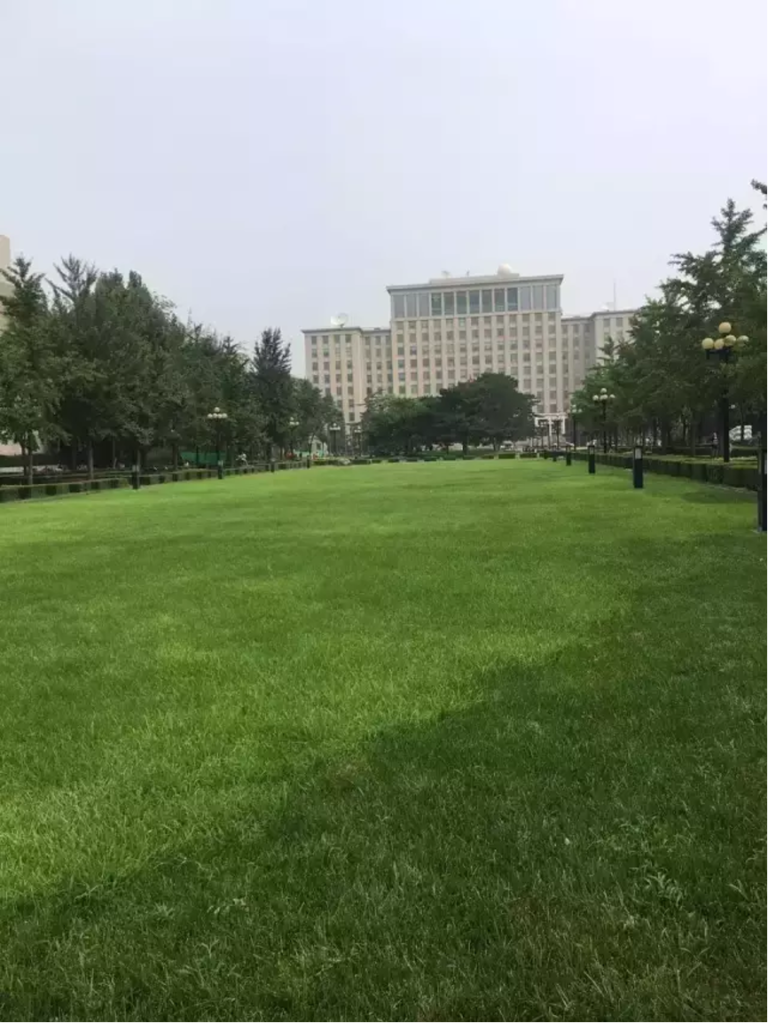 为什么我的公司在成都？