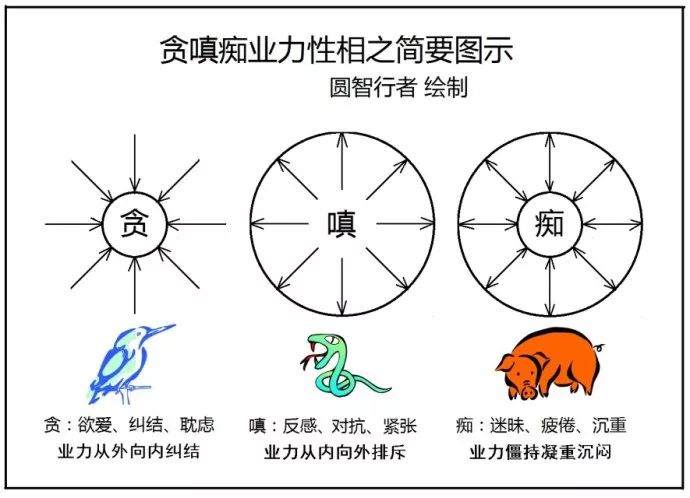 为什么在你恐惧时，英雄却勃然大怒？