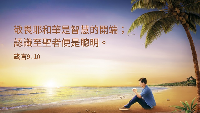 圣经概述14｜圣经是一部智慧书