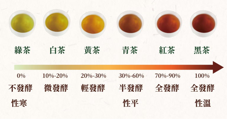 健康120｜喝茶，可以算喝水吗？