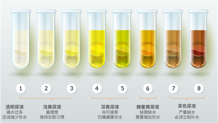 健康120｜每天八杯水，真的有科学依据吗？