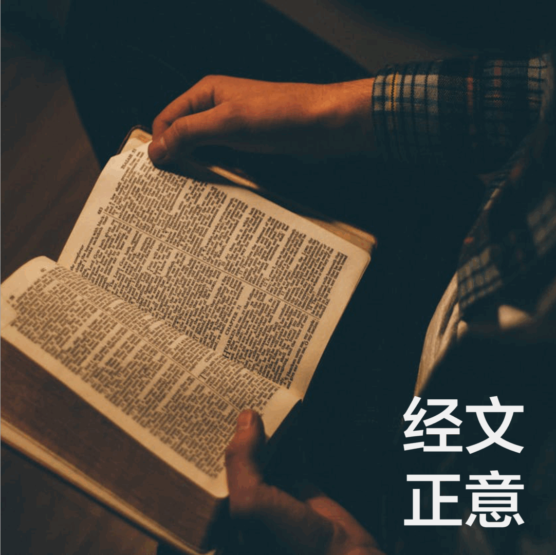 经文正意