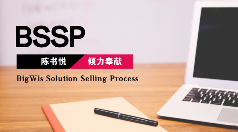 BigWis Solution Selling Process